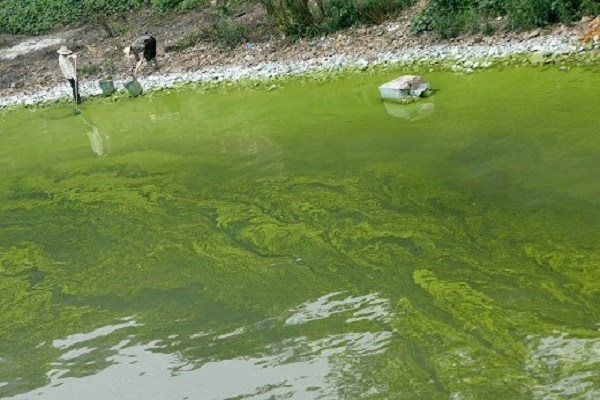 深圳水質檢測公司 第三方