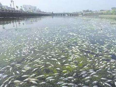 深圳水質檢測 深圳水質檢測