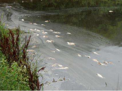 深圳水質檢測機構